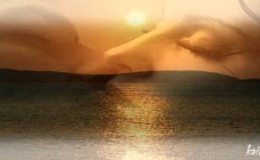Το κύμα… Σωτηρία Λεονάρδου….