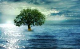 Πριγκηπέσα Μάλαμας – Prigipesa Malamas