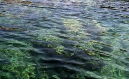 Της λήθης το πηγάδι – Γιάννης﻿ Χαρούλης