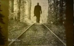 Χειμωνανθός – Χαρούλης Γιάννης