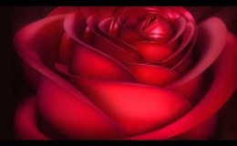 music Αύριο πάλι – Πάριος Γιάννης & Αλεξίου Χάρις