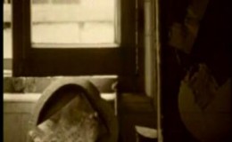 Ολάκερη Πόλη-Δημήτρης Μητροπάνος