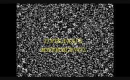 Εντελβάϊς (Δ,Μητροπάνος)