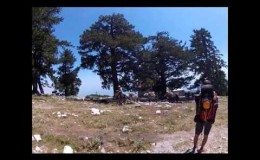 music Σωκράτης Μάλαμας , Μαρία Λούκα – Ταξίδι  ( Live )