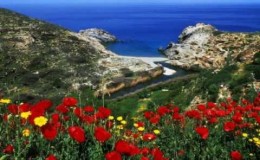music ‘Η εθνική μας μοναξιά – Δημήτρης Μητροπάνος