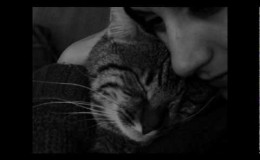 music Εγώ κι εσύ μαζί – Aλκίνοος Ιωαννίδης, Τζίμης Πανούσης