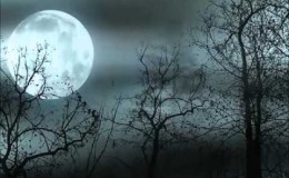 music Το όνειρο – Αλκίνοος Ιωαννίδης