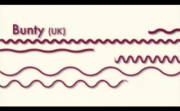music Λευκωσία Loop Festival – January 3rd and 4th 2012