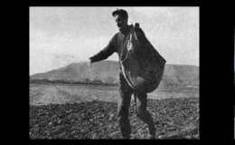 music Σπορά Αλκίνοος Ιωαννίδης
